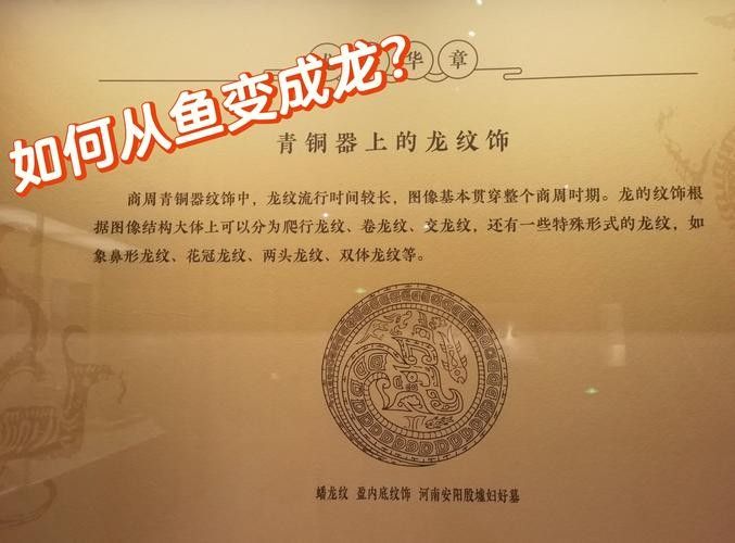 龍頭魚尾圖案有哪些變種形式？ 龍頭魚尾圖案有哪些變種形式？ 龍魚百科 第27張