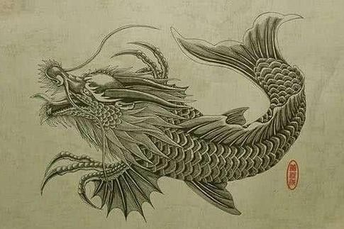 龍頭魚尾圖案有哪些變種形式？ 龍頭魚尾圖案有哪些變種形式？ 龍魚百科 第34張