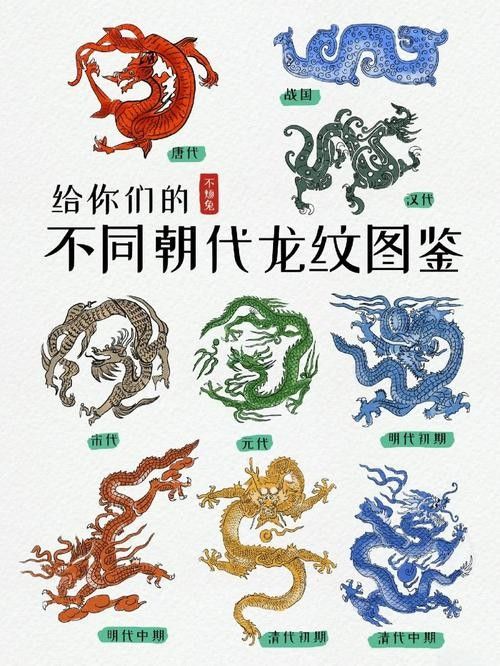 龍頭魚尾圖案有哪些變種形式？ 龍頭魚尾圖案有哪些變種形式？ 龍魚百科 第33張