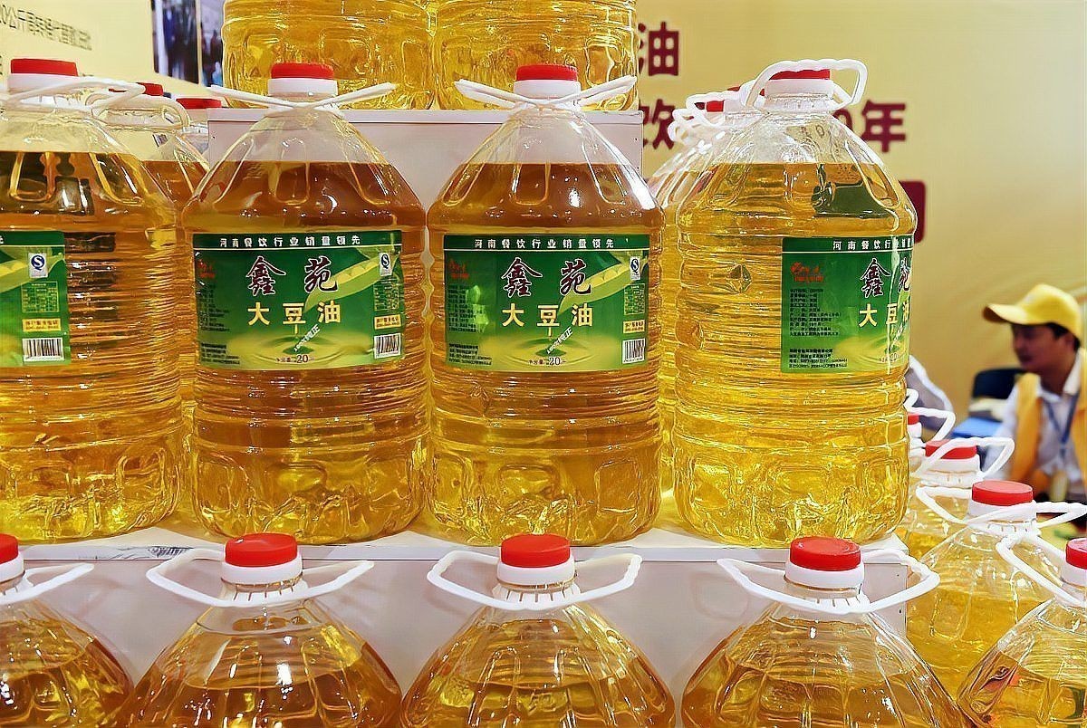 金龍魚真假辨別真假圖片