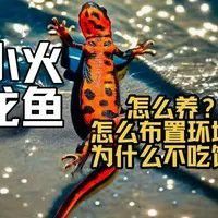 小火龍多久需要補充一次水分？