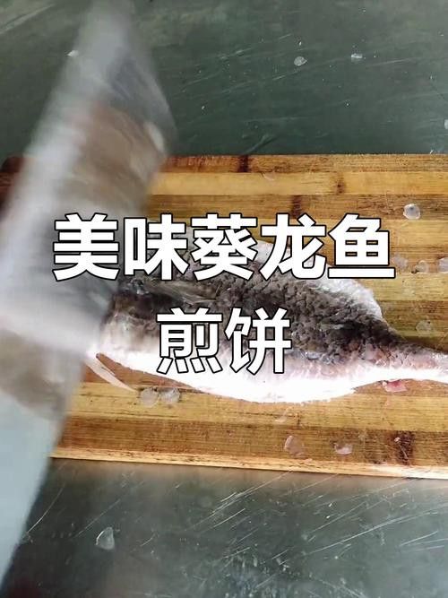 北海葵龍魚是什么魚種圖片