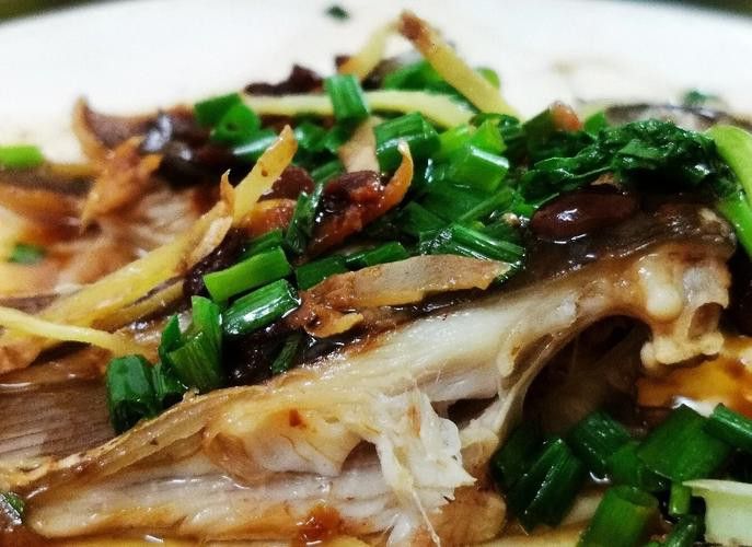 北海葵龍魚是什么魚種圖片