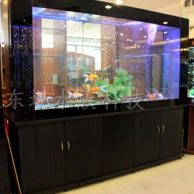 龍魚缸價格表：龍魚缸價格表， 龍魚缸價格表：龍魚缸價格表， 龍魚百科 第5張