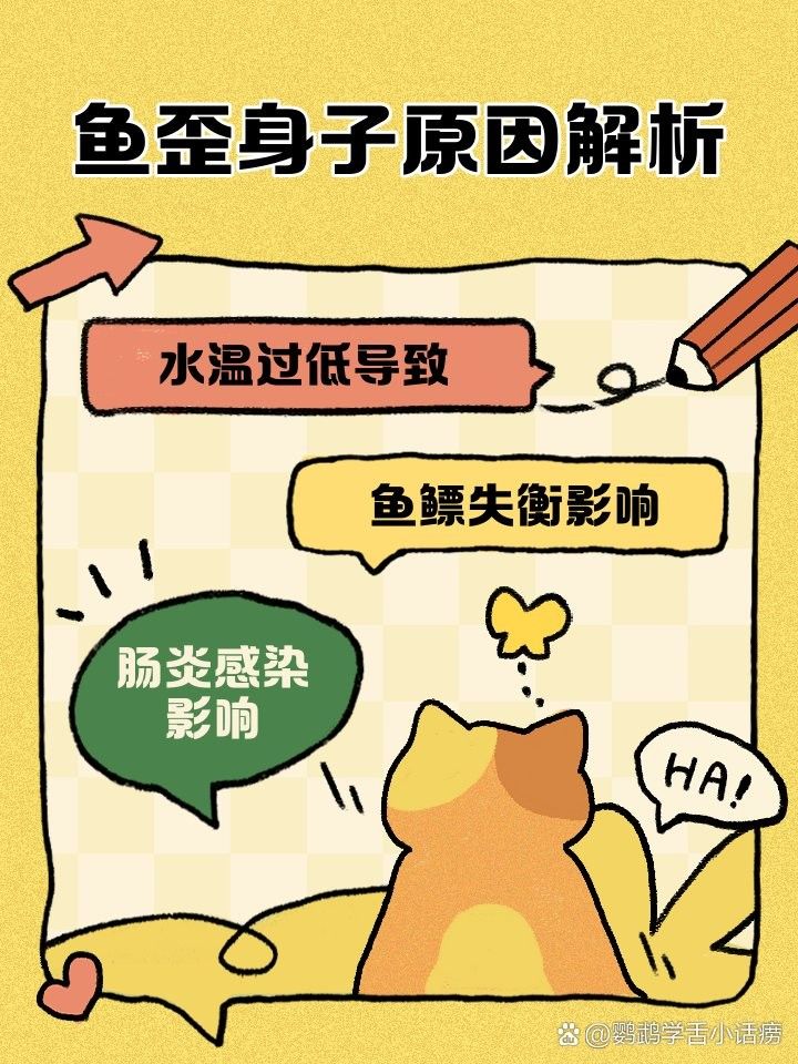 銀龍魚有點(diǎn)斜怎么回事 銀龍魚有點(diǎn)斜怎么回事 龍魚百科 第3張