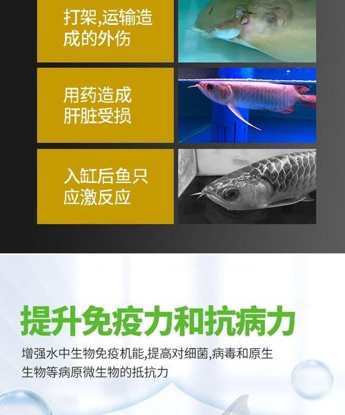 龍魚吃維生素哪個品牌好 龍魚吃維生素哪個品牌好 龍魚百科 第8張