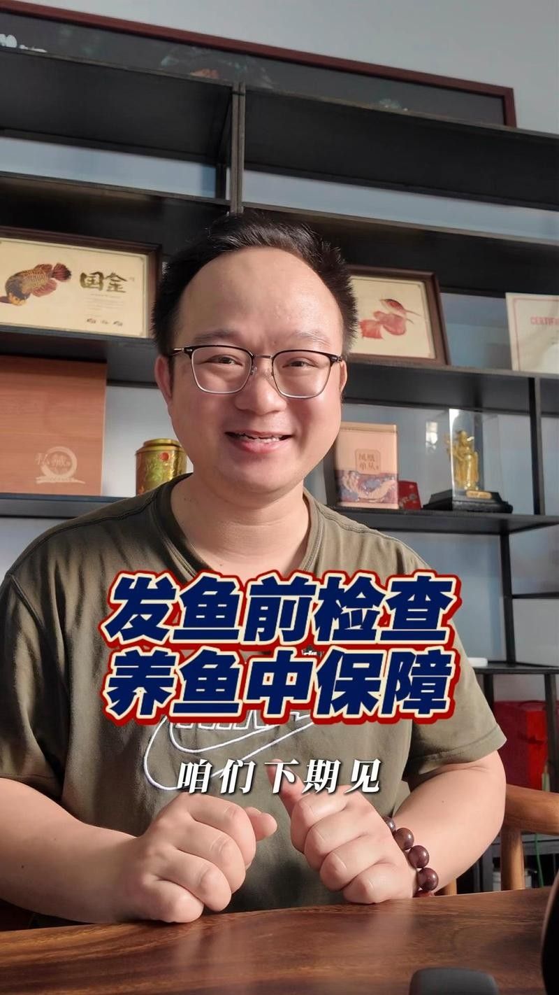 龍魚郵寄安全嗎 龍魚郵寄安全嗎 龍魚百科 第4張
