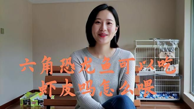 恐龍魚能不能吃蝦皮和蝦皮 恐龍魚能不能吃蝦皮和蝦皮 龍魚百科 第1張