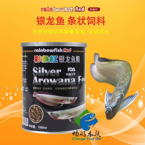 紅銀龍魚(yú)圖片大全大圖欣賞