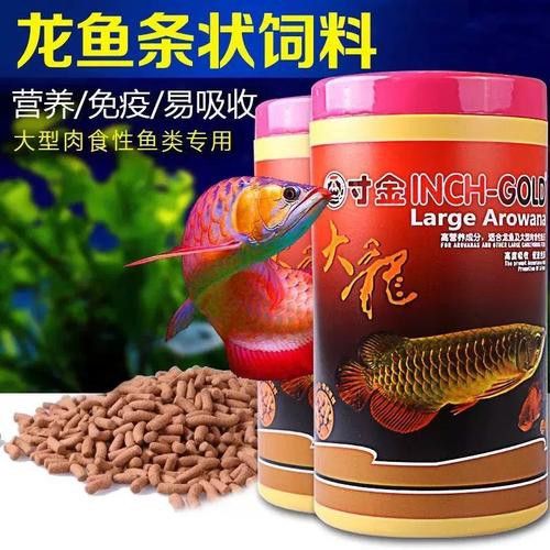 紅銀龍魚(yú)圖片大全大圖欣賞