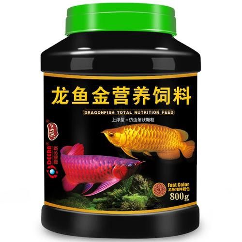 紅銀龍魚(yú)圖片大全大圖欣賞