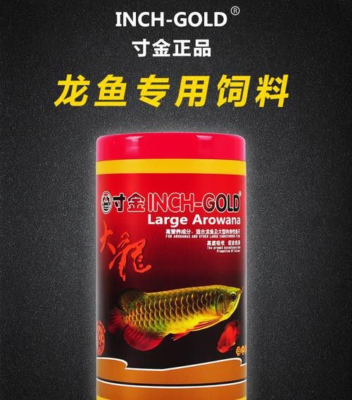 紅銀龍魚(yú)圖片大全大圖欣賞