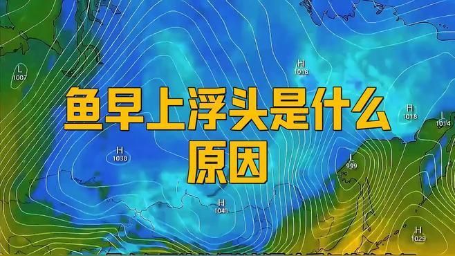 哪些因素會影響魚浮頭的時間? 龍魚百科 第1張 哪些因素會影響魚浮頭的時間? 哪些因素會影響魚浮頭的時間? 龍魚百科 第1張