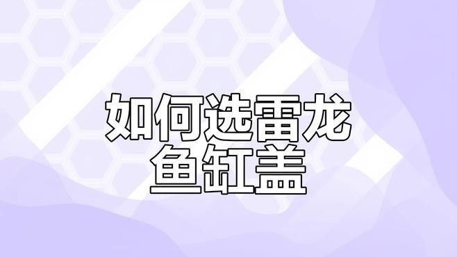 雷龍魚缸蓋用什么好？ 雷龍魚缸蓋用什么好？ 龍魚百科 第1張