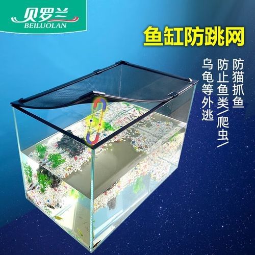 雷龍魚缸蓋用什么好？ 雷龍魚缸蓋用什么好？ 龍魚百科 第8張