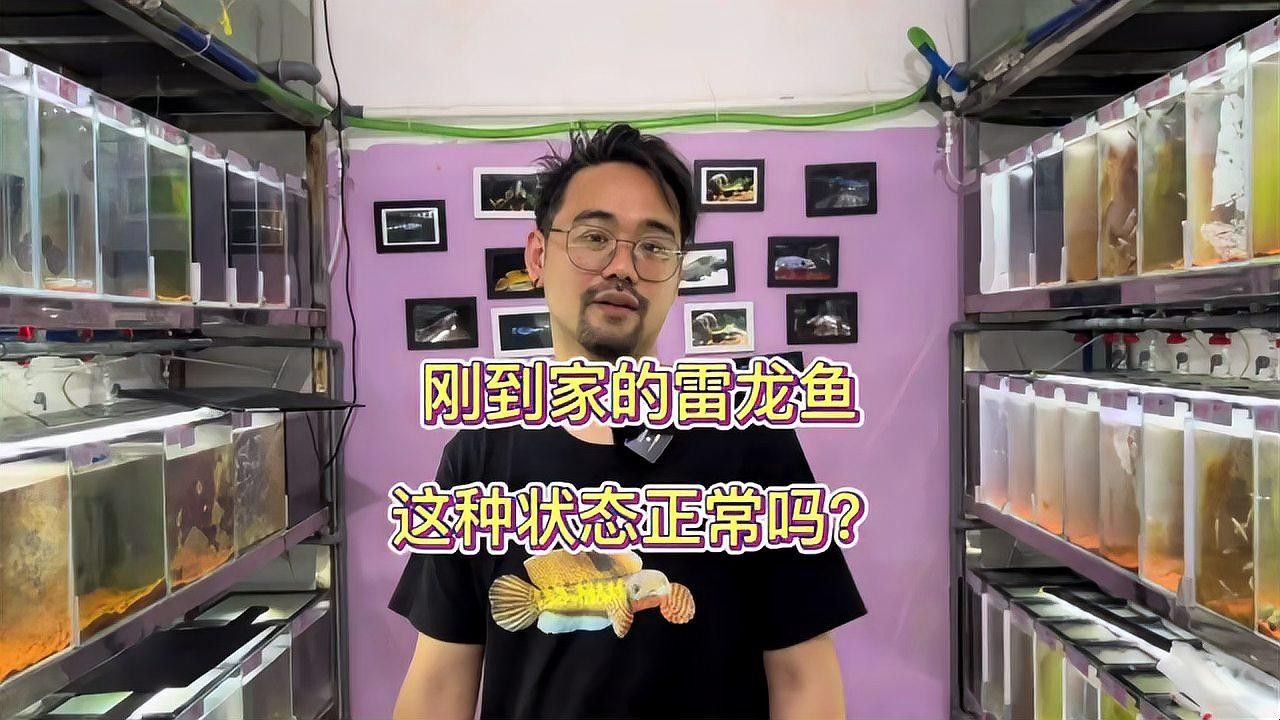 雷龍魚適應新環境后會有哪些變化？