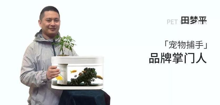 龍魚害怕：龍魚為什么膽小怕人