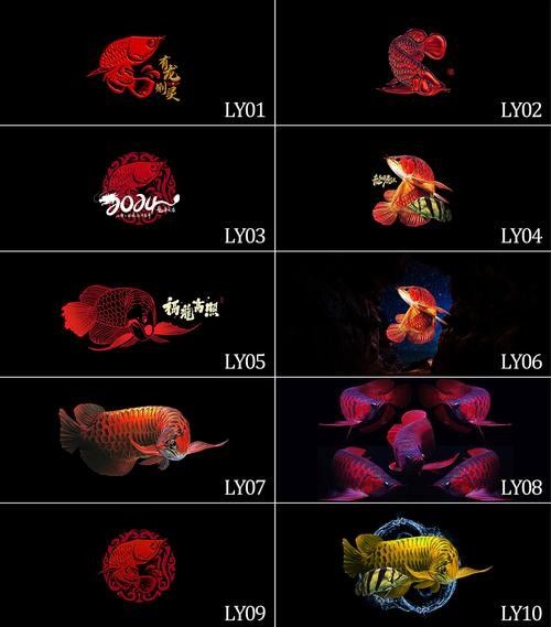 龍魚缸背景圖黑色荷花