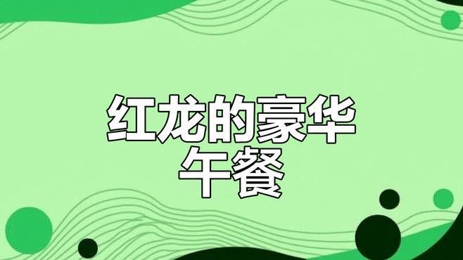 紅龍魚吃食視頻