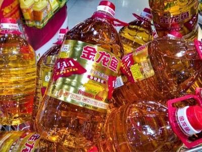 金龍魚庫存（關于金龍魚庫存情況的詳細分析） 金龍魚庫存（關于金龍魚庫存情況的詳細分析） 龍魚百科 第4張