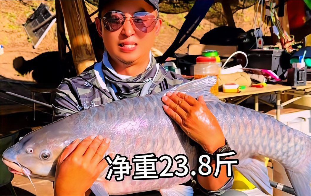 藍吉羅魚吃小魚嗎