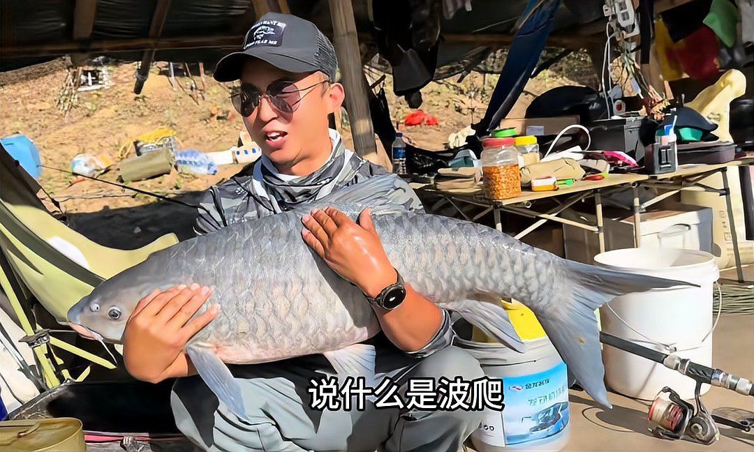 藍吉羅魚吃小魚嗎