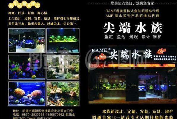 魚缸設計軟件推薦（魚缸生成器魚缸生成器魚缸生成器）