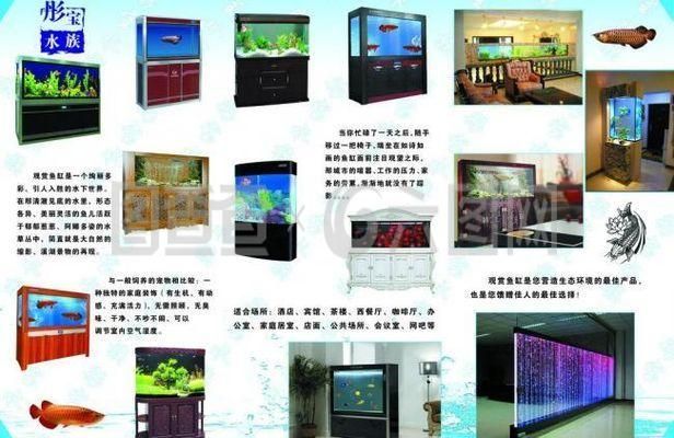 魚缸設(shè)計(jì)軟件推薦（魚缸生成器魚缸生成器魚缸生成器）
