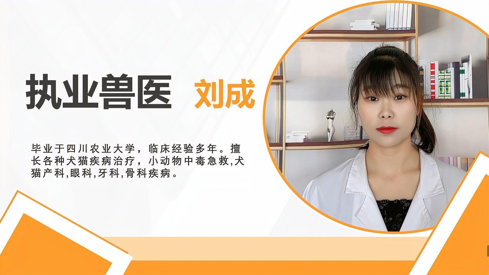 錦鯉趴缸底會持續(xù)多久？