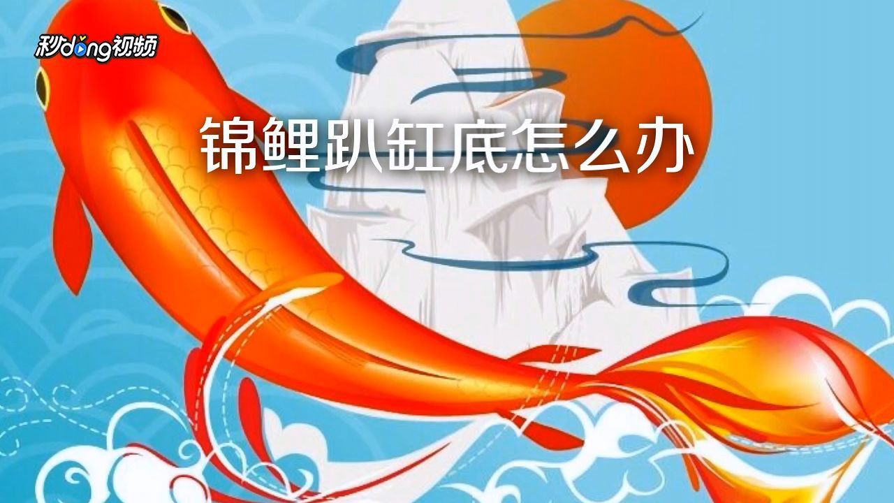 錦鯉趴缸底會持續多久？