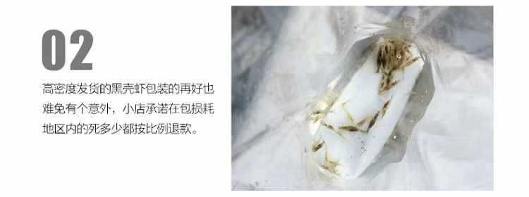 龍魚能吃蝦米嗎：龍魚可以吃蝦米嗎 龍魚能吃蝦米嗎：龍魚可以吃蝦米嗎 龍魚百科 第2張