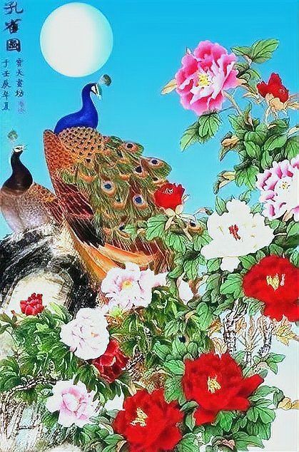 孔雀是招鬼還是招財 孔雀是招鬼還是招財 龍魚百科 第8張