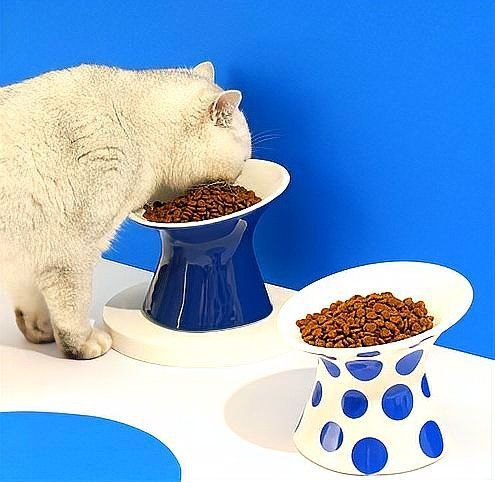 能否提供一份更詳細的飼養方法？