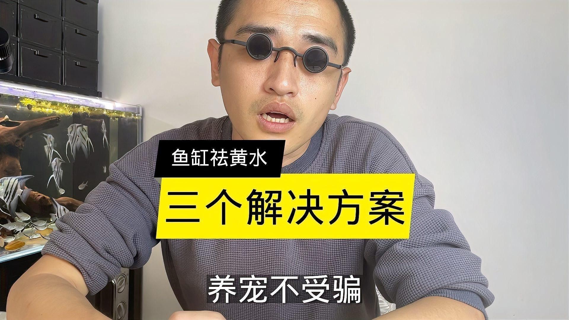 如何處理沉木黃水？