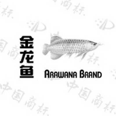 金龍魚英文商標