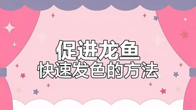 紅龍魚幼苗喂什么食物最好？