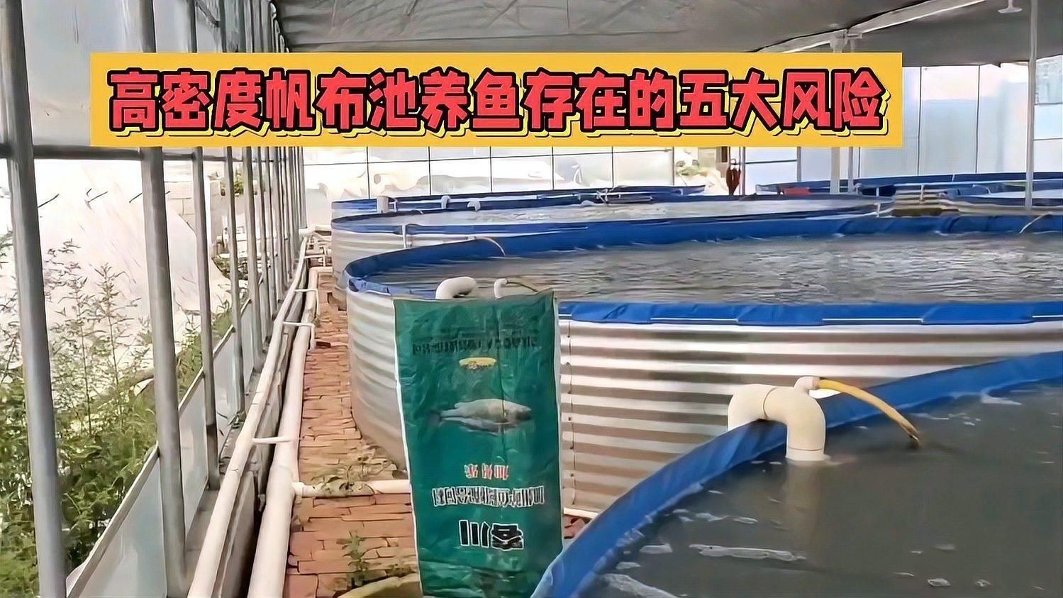 養(yǎng)魚帆布池的十大忠告 養(yǎng)魚帆布池的十大忠告 龍魚百科 第5張