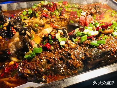 巴龍魚是什么魚：關于巴龍魚的問題