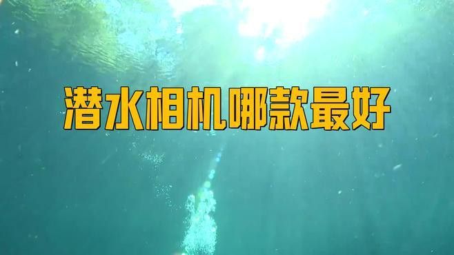 如何選擇適合拍攝小龍魚的相機？ 如何選擇適合拍攝小龍魚的相機？ 龍魚百科 第7張