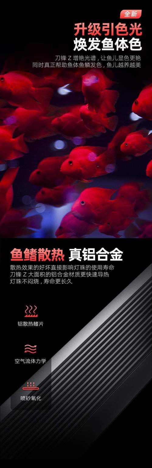 紅龍魚燈光位置示意圖片 龍魚百科 第47張 紅龍魚燈光位置示意圖片 紅龍魚燈光位置示意圖片 龍魚百科 第47張