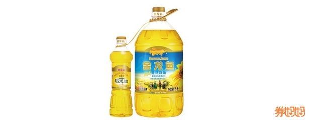 最便宜的龍魚品種是什么魚：最便宜的龍魚品種是什么？入門級龍魚選購指南