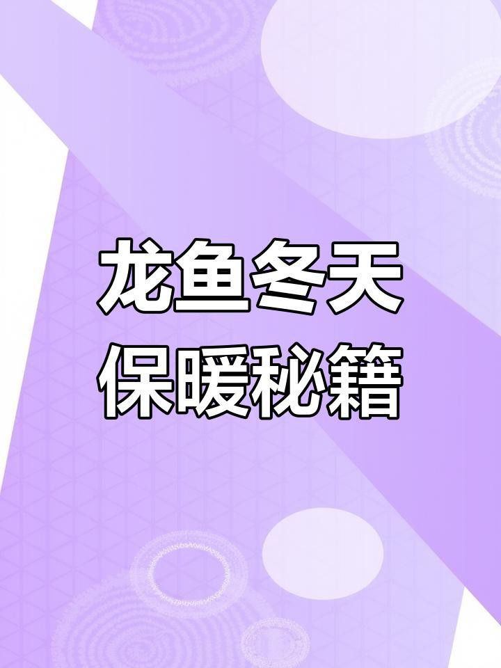 如何為龍魚提供穩定的水溫環境？ 如何為龍魚提供穩定的水溫環境？ 龍魚百科 第3張