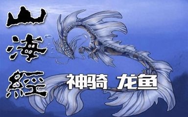 龍魚掉在地上是否會死亡（龍魚掉在地上會有什么危險？）