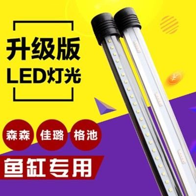 新加坡龍魚和印尼龍魚的差別在哪里：新加坡龍魚和印尼龍魚有什么區別？