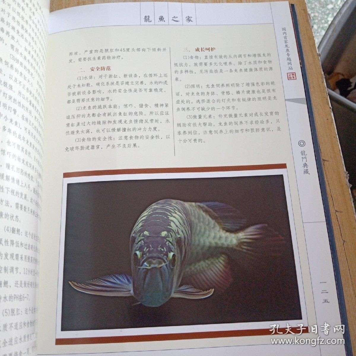 龍魚身體有點傾斜正常嗎:龍魚身體傾斜怎么辦 龍魚百科 第5張 龍魚身體有點傾斜正常嗎:龍魚身體傾斜怎么辦 龍魚身體有點傾斜正常嗎:龍魚身體傾斜怎么辦 龍魚百科 第5張