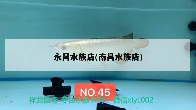 紅魔王銀版魚價格趨勢：紅魔王銀版魚價格趨勢分析紅魔王銀版魚價格趨勢