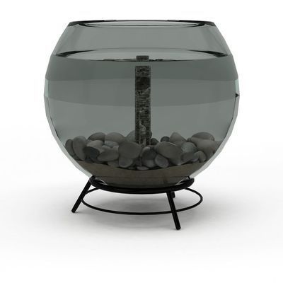 如何區(qū)分紅龍和金龍魚的成魚？ 如何區(qū)分紅龍和金龍魚的成魚？ 龍魚百科 第2張