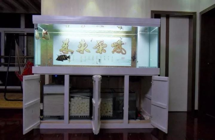 金龍魚缸布置需要哪些材料？