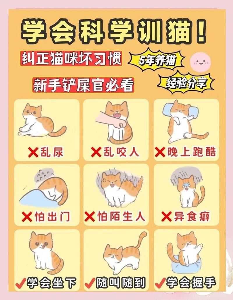 如何訓(xùn)練貓不捕魚？