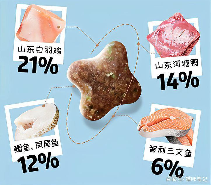 如何訓(xùn)練貓不捕魚？